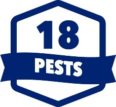 18 types of pests covered in Georgia and Tennessee by Lookout Pest Control