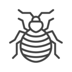 Bed Bug treatment in Georgia, Tennessee, Alabama, Kentucky, North Carolina and South Carolina by Lookout Pest Control
