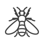 Bee control in Georgia, Tennessee, Alabama, Kentucky, North Carolina and South Carolina by Lookout Pest Control
