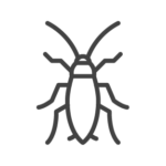 Cockroach control in Georgia, Tennessee, Alabama, Kentucky, North Carolina and South Carolina by Lookout Pest Control