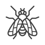 Fly control in Georgia, Tennessee, Alabama, Kentucky, North Carolina and South Carolina by Lookout Pest Control