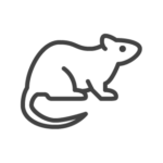 Rodent control in Georgia, Tennessee, Alabama, Kentucky, North Carolina and South Carolina by Lookout Pest Control