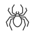 Spider control in Georgia and Tennessee by Lookout Pest Control