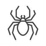 Spider control in Georgia, Tennessee, Alabama, Kentucky, North Carolina and South Carolina by Lookout Pest Control