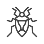Stinkbug control in Georgia, Tennessee, Alabama, Kentucky, North Carolina and South Carolina by Lookout Pest Control