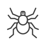 Tick control in Georgia, Tennessee, Alabama, Kentucky, North Carolina and South Carolina by Lookout Pest Control