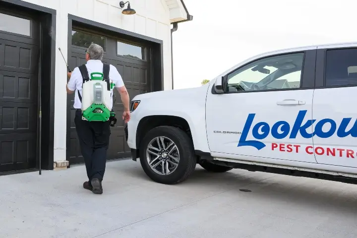 Ant control services in Georgia and Tennessee by Lookout Pest Control