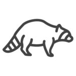 Wildlife control in Georgia, Tennessee, Alabama, Kentucky, North Carolina and South Carolina by Lookout Pest Control