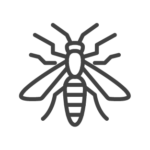 Wasp control in Georgia, Tennessee, Alabama, Kentucky, North Carolina and South Carolina by Lookout Pest Control
